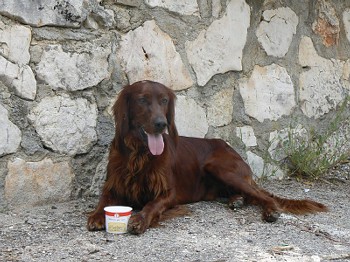 nase laska