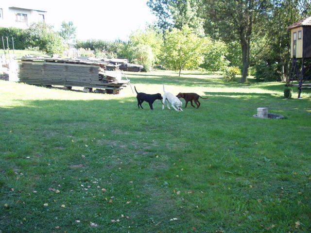 s Barou a Heidi 3